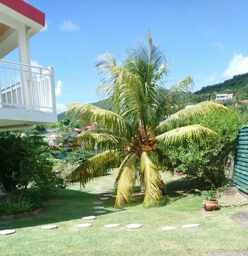 Appartement Gliceria Grande Anse エクステリア 写真